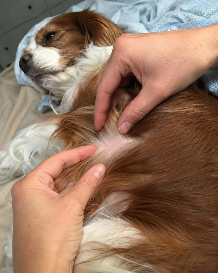 Days 14–30 — Calmer Skin