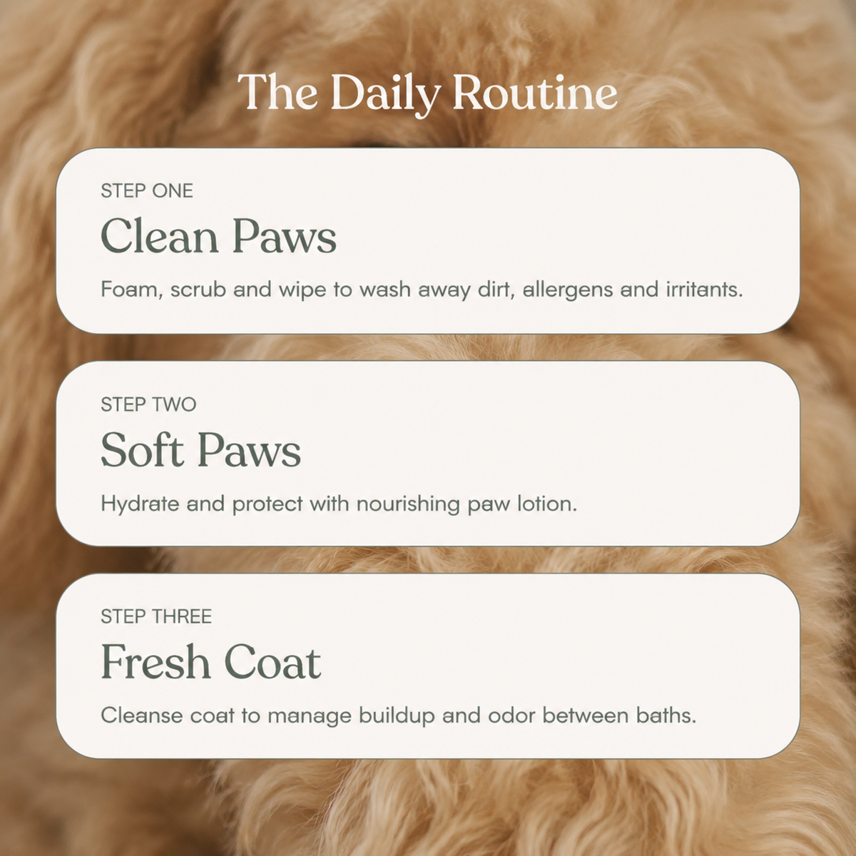 Paw Reset Foam