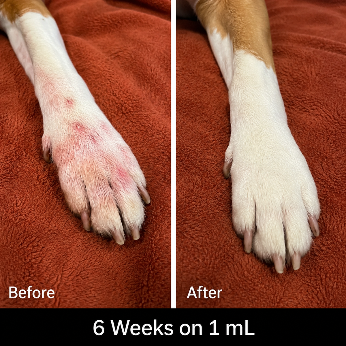 PawCalm Itch Drops